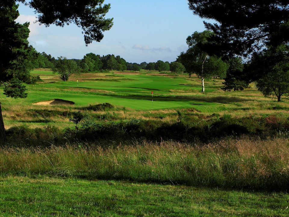 Heathland