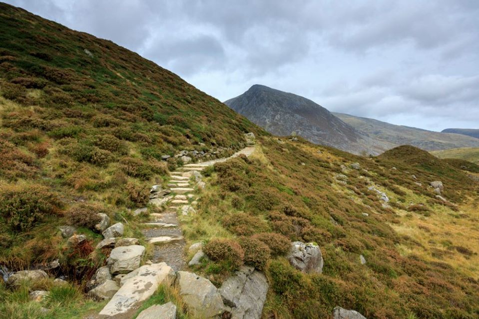 Mountain heaths